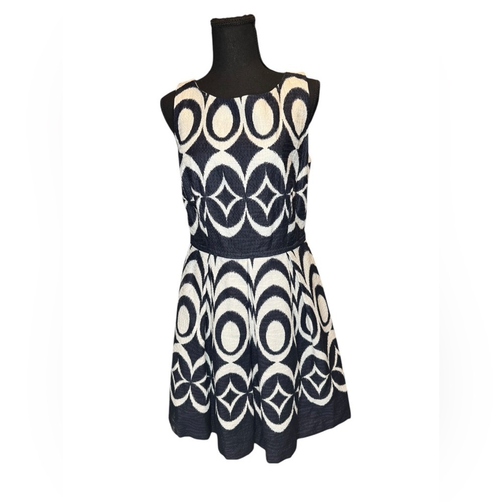 Women's The Limited Aline Pleated Drop Waist Dress With Pockets Size 8 Classic